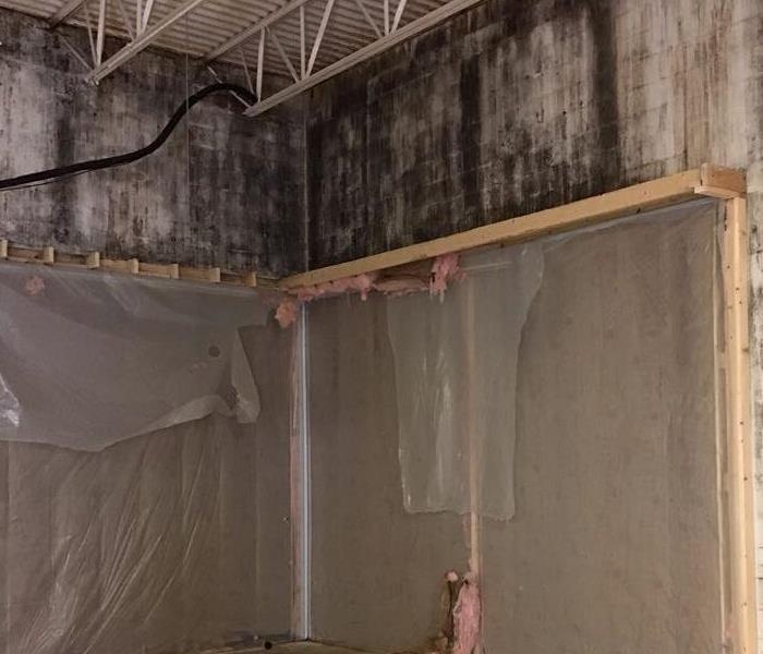 Commercial concrete wall with mold growing on the concrete