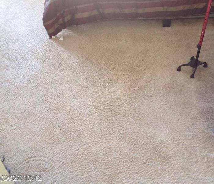 Spot removed from white carpet